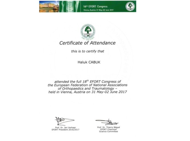Efort-certificate