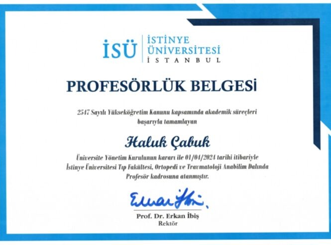 istinye-university-professorship-certificate-665x494-1.jpg