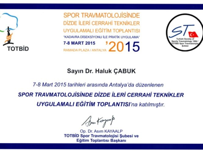Totbid-knee-sports-traumatology-certificate