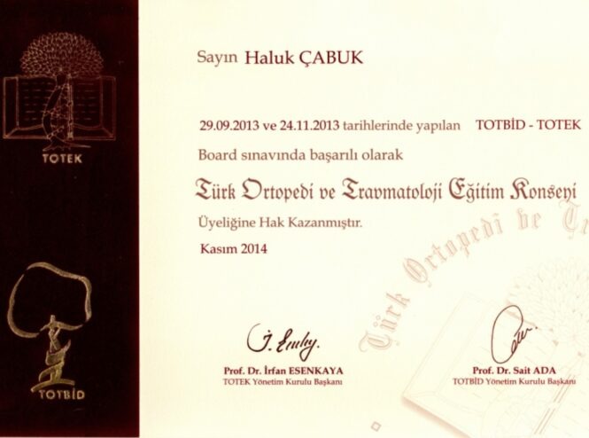 totek-membership-certificate-665x494-1.jpg