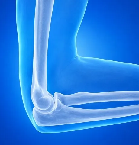 Elbow