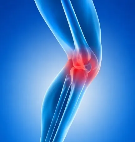 Knee