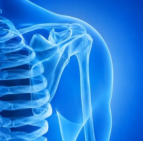 shoulder